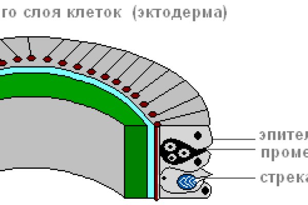 Кракена net