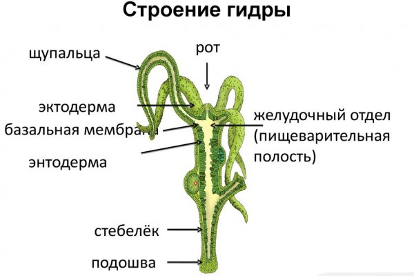 Ссылка на сайт кракен в тор браузере