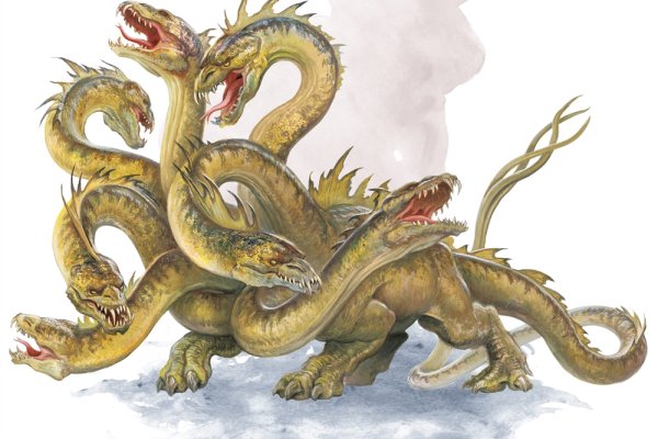 Kraken online