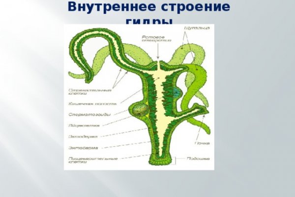 Где найти рабочую ссылку на кракен